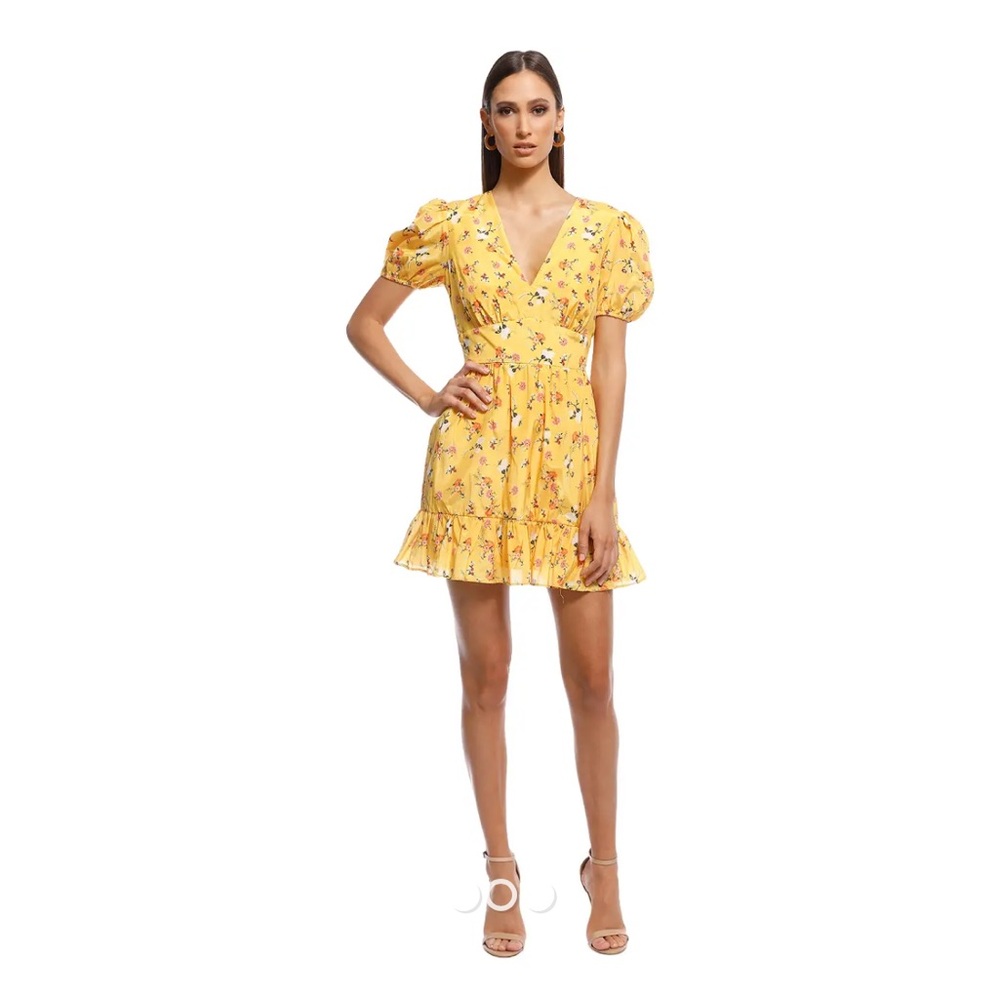 La Maison Talulah Tansy Mini Dress